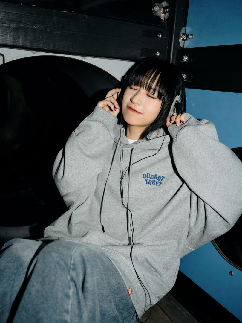 ODD BUT TRUE* Hoodie (Grey)