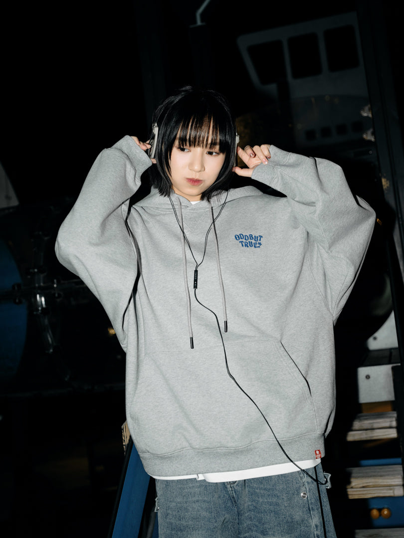 ODD BUT TRUE* Hoodie (Grey)
